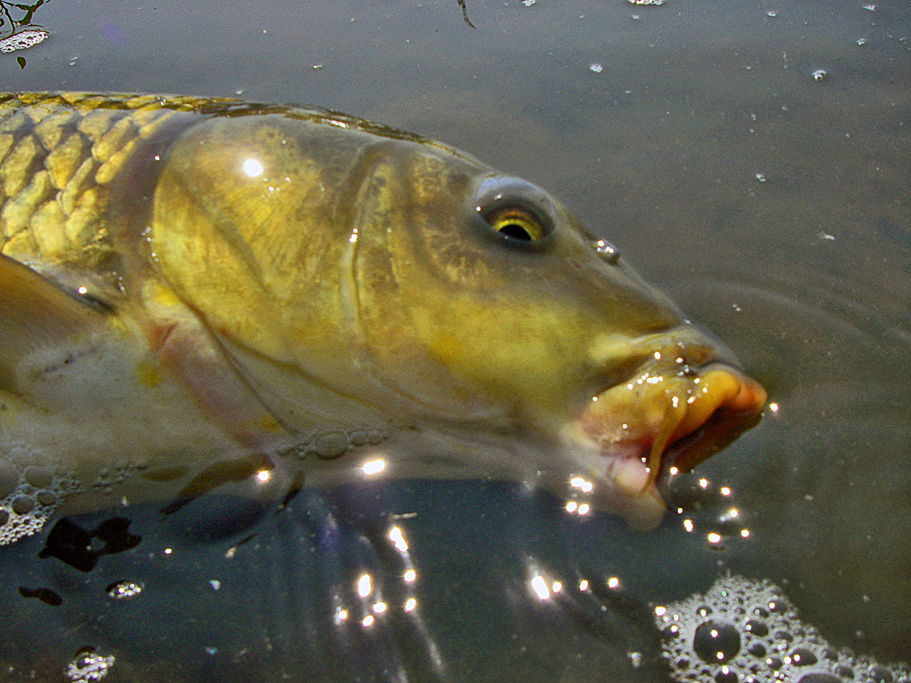 a0130057_042686.jpg