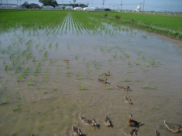 山形県へ！　１日目_c0196062_14414189.jpg