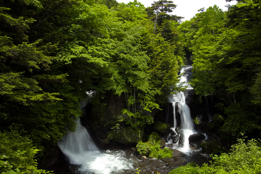 d0062964_20133196.jpg