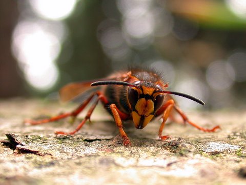 b0130166_17312010.jpg