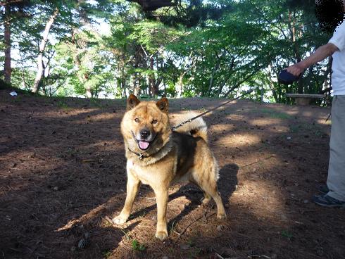 涼しい公園でお散歩です～_e0139167_17361134.jpg