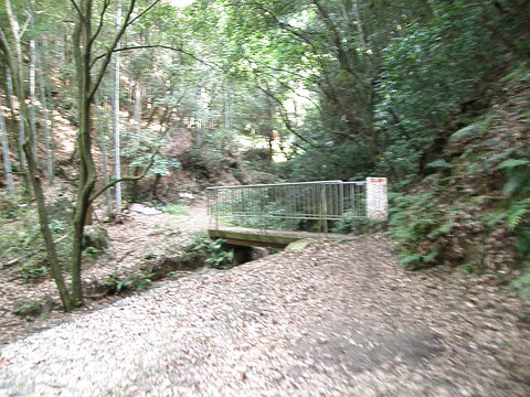 c0002874_18491563.jpg