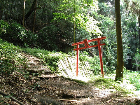 京都西山　太閤道_c0002874_18494980.jpg