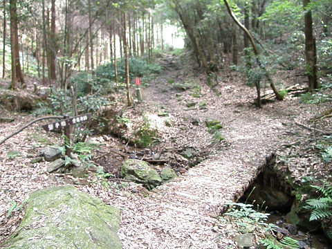 c0002874_18505270.jpg