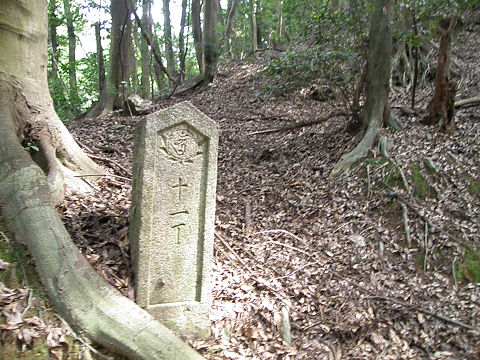 c0002874_18523248.jpg