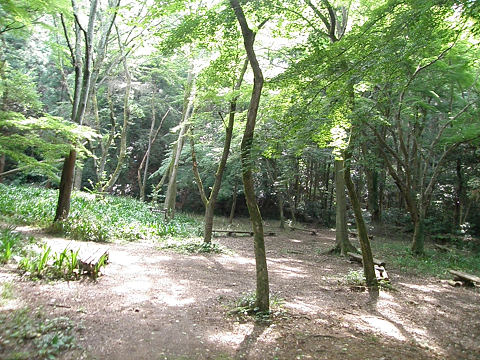 c0002874_1955843.jpg