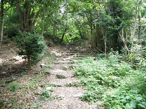 c0002874_195624.jpg