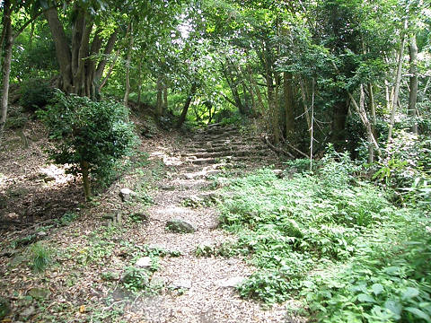 京都西山　太閤道_c0002874_195624.jpg