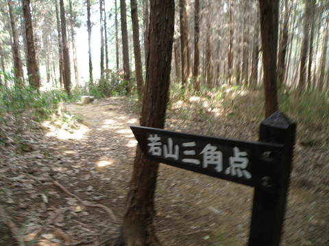 c0002874_21333877.jpg