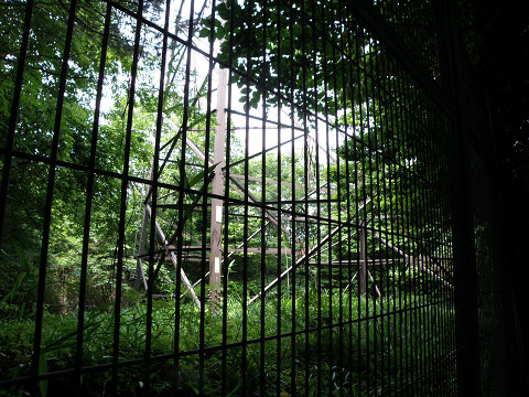 c0002874_21343042.jpg