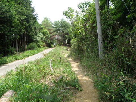 c0002874_21355218.jpg