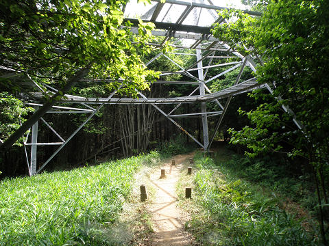 京都西山　太閤道_c0002874_213592.jpg