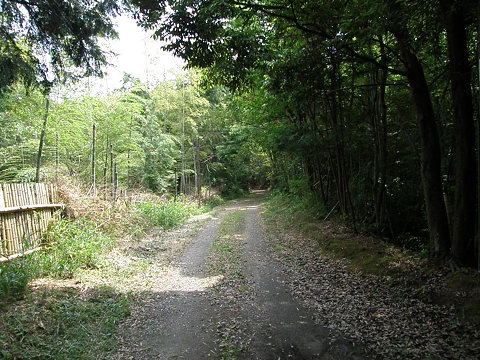 京都西山　太閤道_c0002874_2138962.jpg