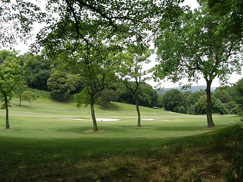 京都西山　太閤道_c0002874_21544992.jpg