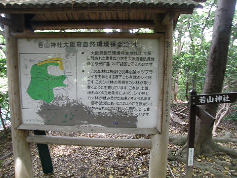 c0002874_21563529.jpg