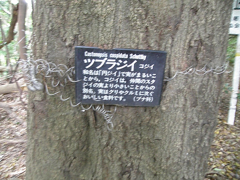 c0002874_21573776.jpg