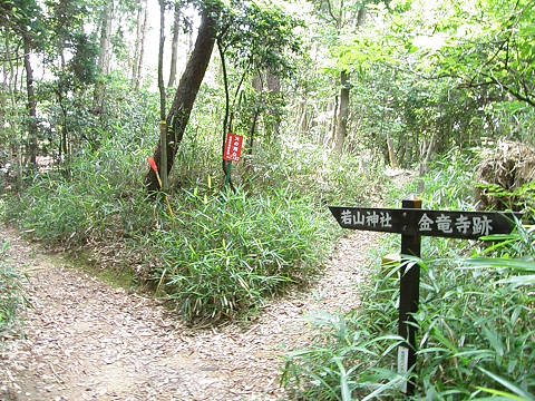 c0002874_2175312.jpg