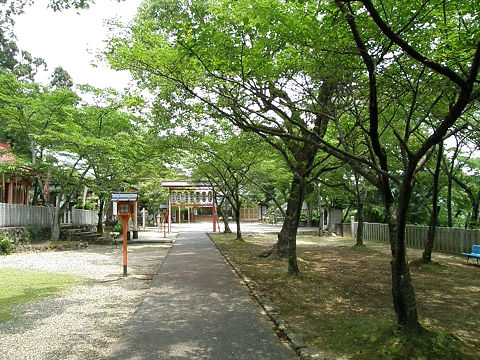 c0002874_22048.jpg