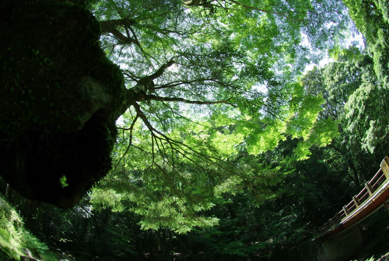 e0152576_20105440.jpg