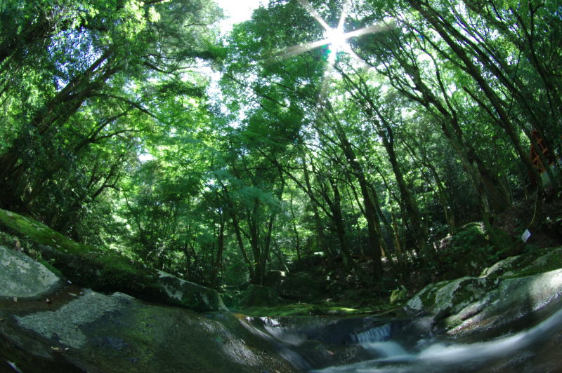 e0152576_20114980.jpg