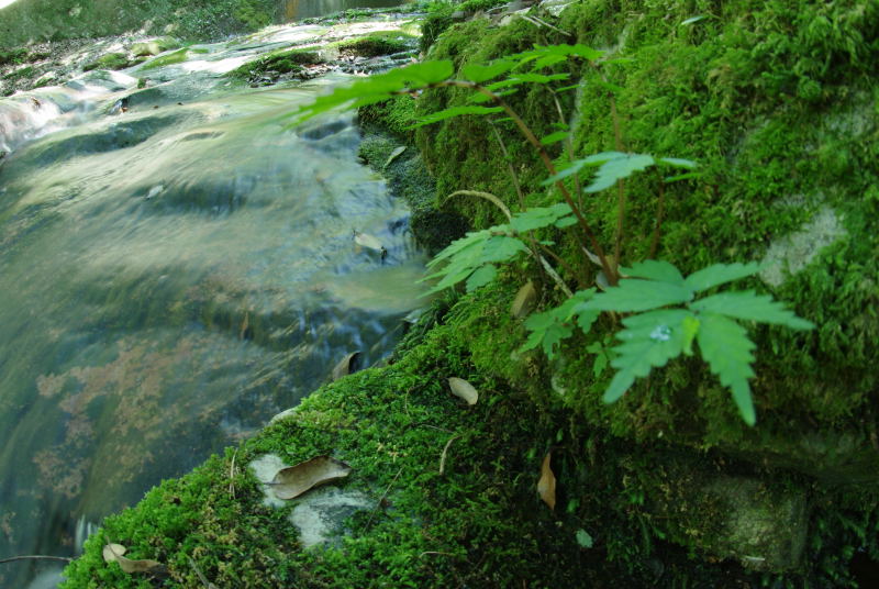 e0152576_2015446.jpg