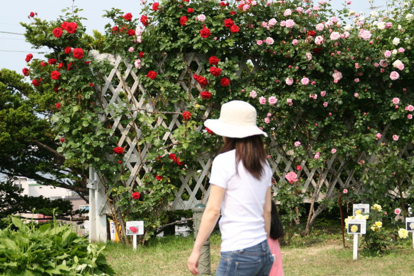 c0112479_21502477.jpg