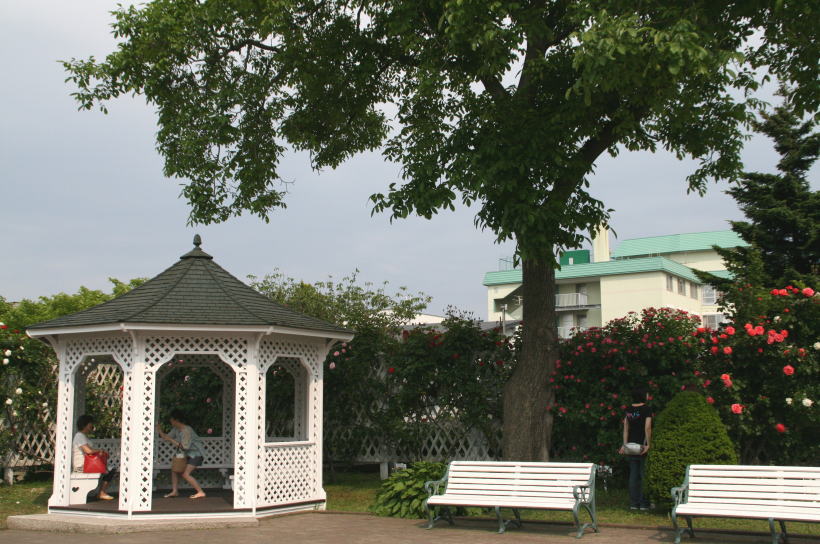 c0112479_21503719.jpg