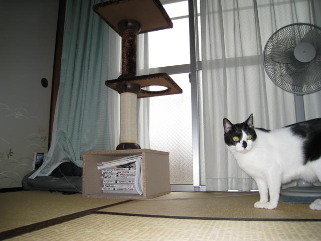 f0159784_1733108.jpg