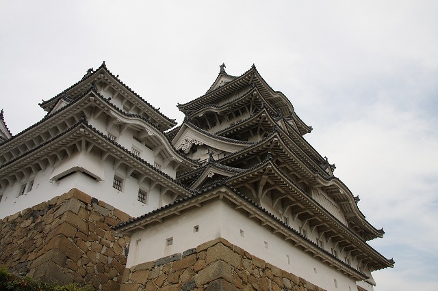 f0140087_22959.jpg