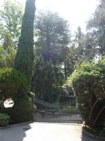 f0181488_80271.jpg