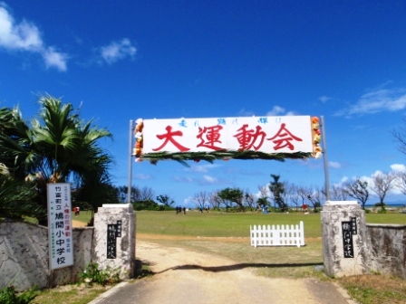 今日の鳩間島　6/28（日）　晴れ_b0165698_2311240.jpg