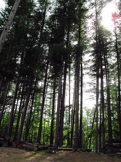 d0122298_18584216.jpg