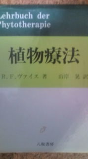 c0123401_245829.jpg