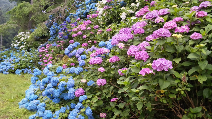f0144003_10948.jpg