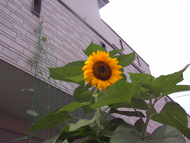 f0038407_16465966.jpg