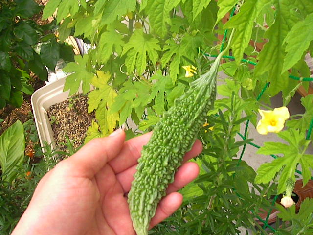 f0038407_16474462.jpg