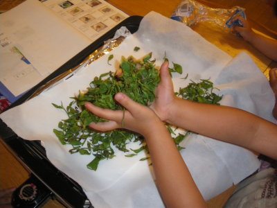 f0041311_1411783.jpg