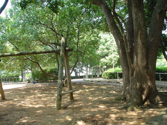 f0061013_12385944.jpg