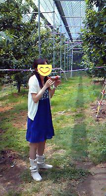 a0078020_2123456.jpg