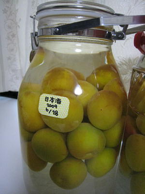 c0060920_92844.jpg