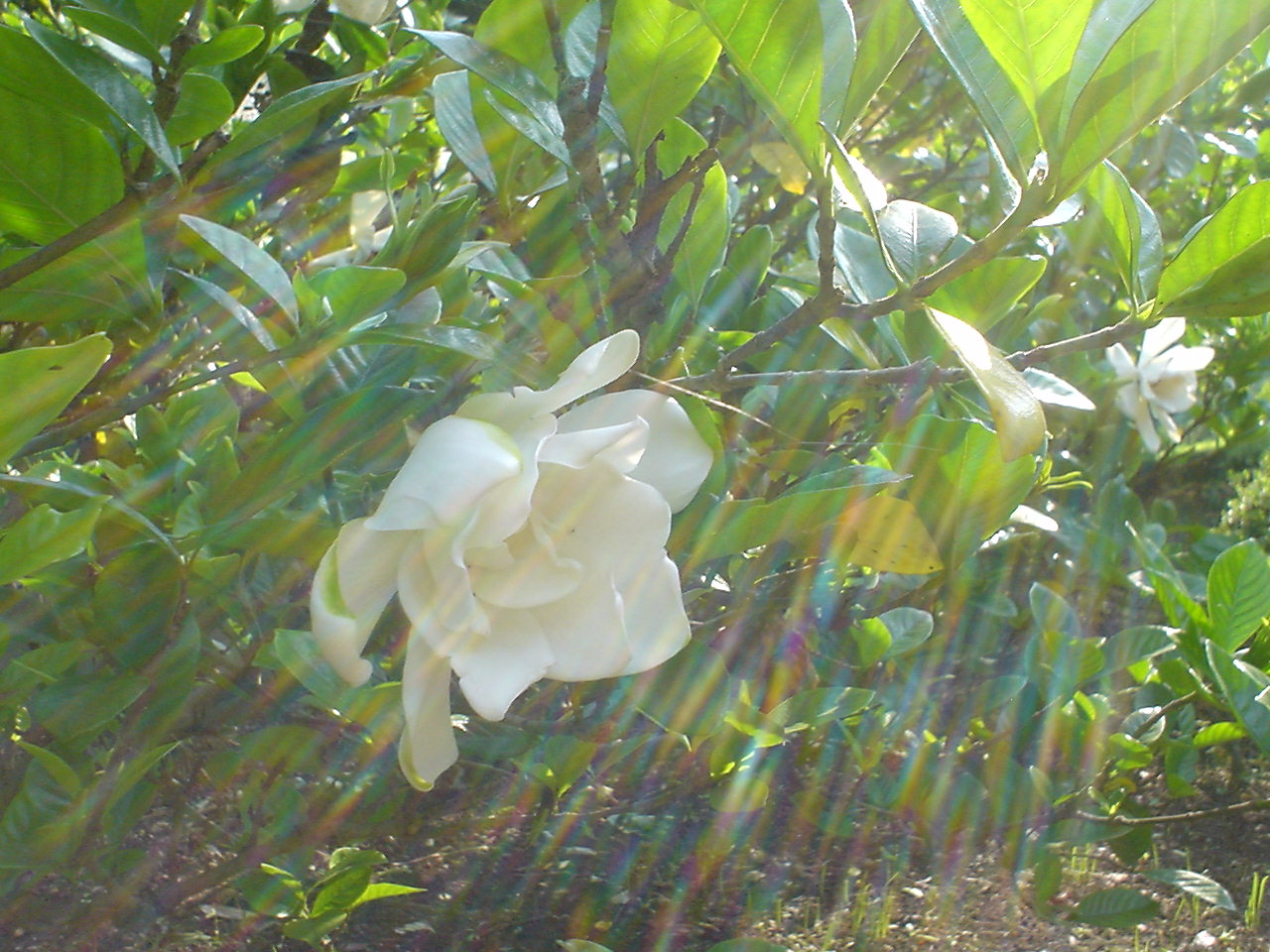 c0150520_8422064.jpg