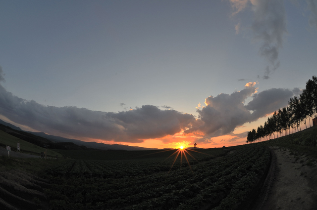 d0019422_81029.jpg