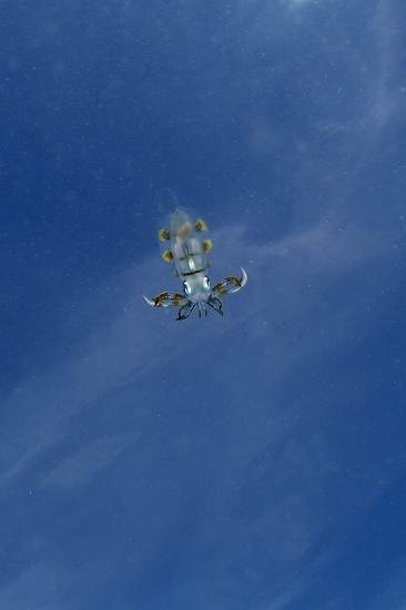 f0206424_23353618.jpg