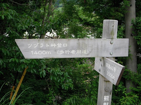 ツヅラト峠_c0077531_0831.jpg