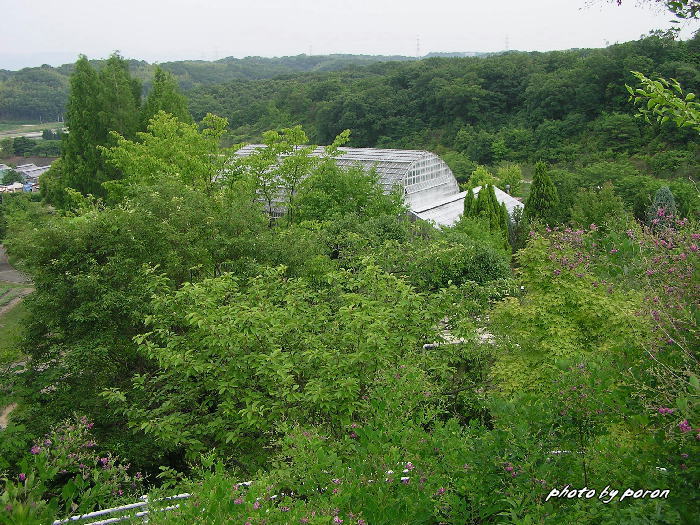 閉園中の「花空間けいはんな（旧京都フラワーセンター）」_c0137342_102288.jpg