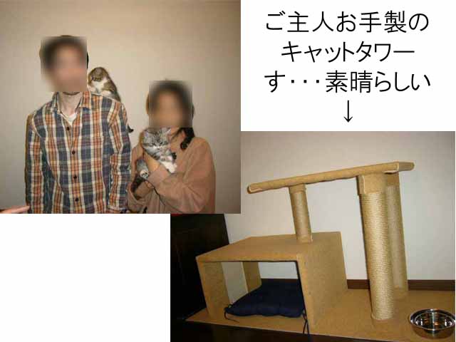 ジャスミン&ネロリお試し生活開始 _a0126743_16121928.jpg