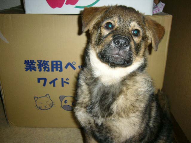 ありがとうございます。 _a0126743_1717100.jpg