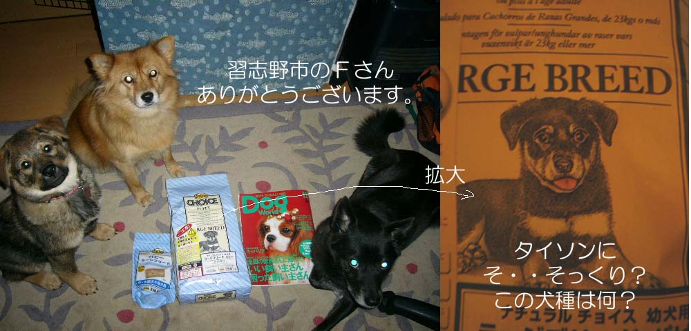 そっくり _a0126743_1742459.jpg
