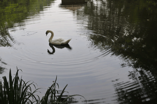 c0093046_6423350.gif