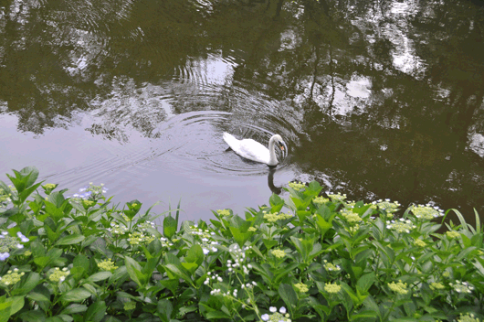 c0093046_6431618.gif
